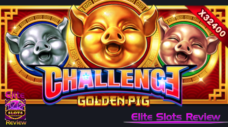 Challenger - Golden Pig